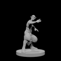 Monk elf