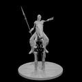 Skeleton Rider