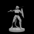 Tiefling Female Paladin