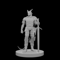 Tiefling Male Paladin 2