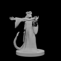 Tiefling Male Sorcerer