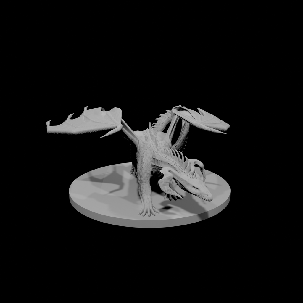 Young Black Dragon