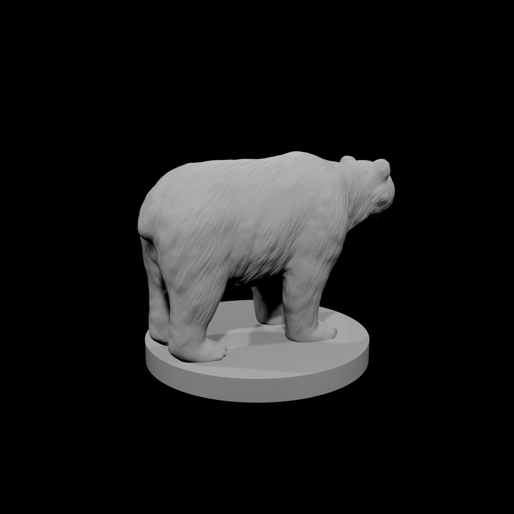 Ours noir