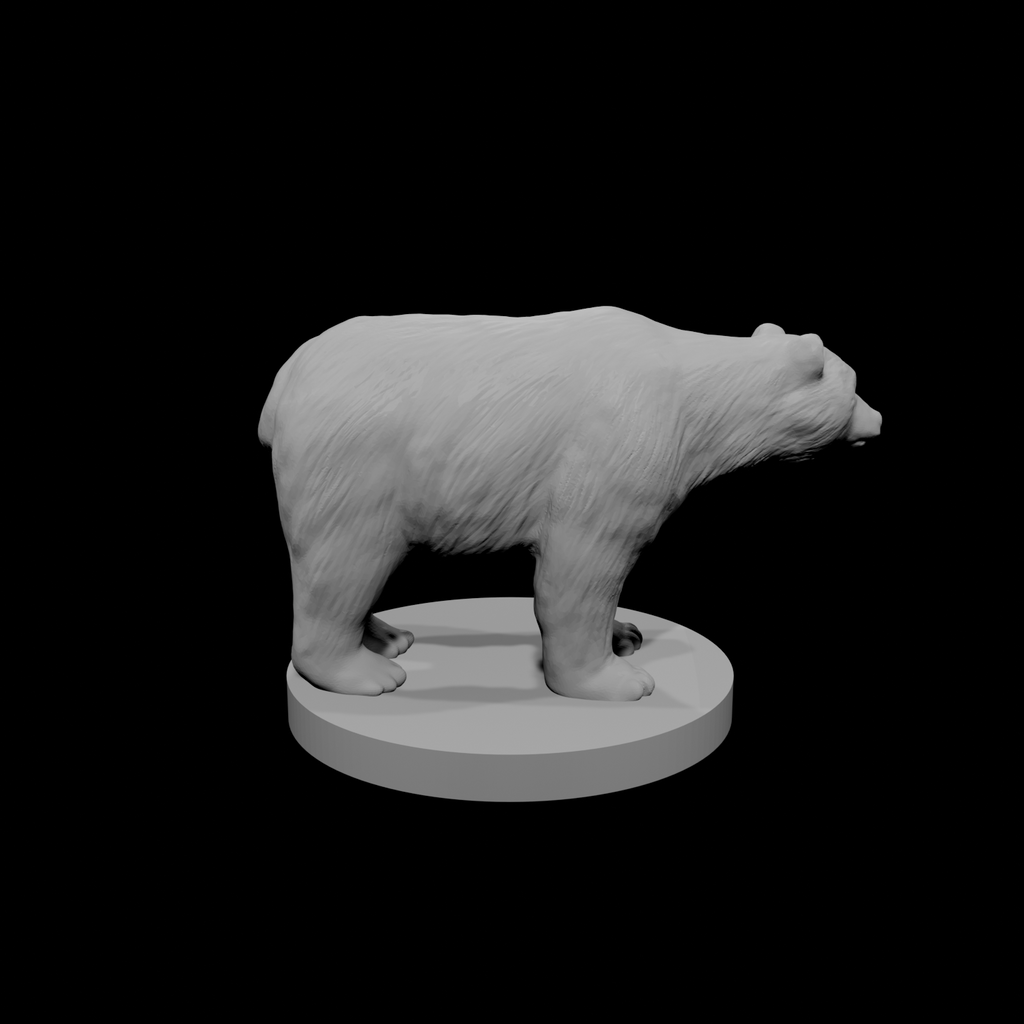 Ours noir