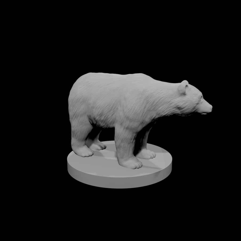 Ours noir