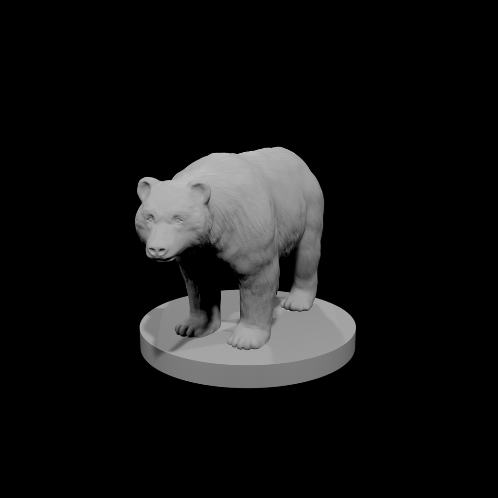 Ours noir