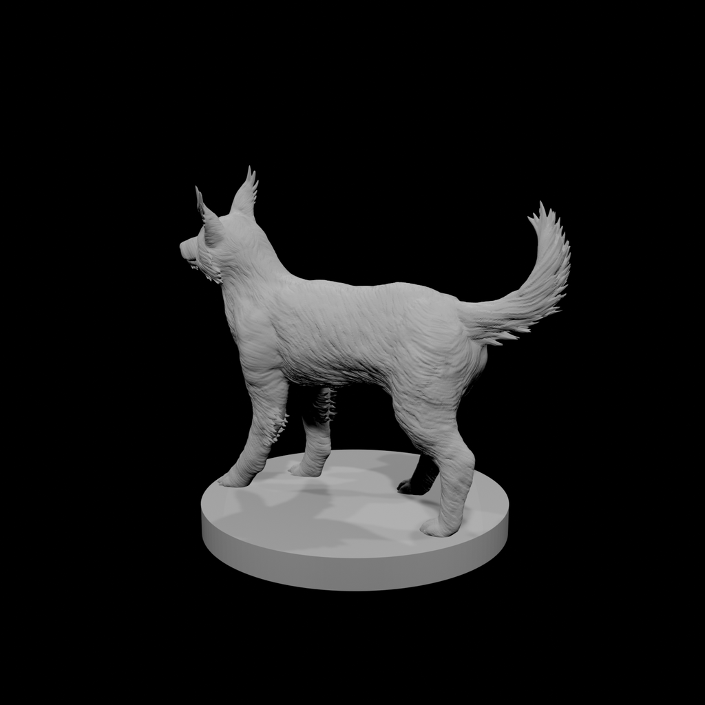 Blink Dog