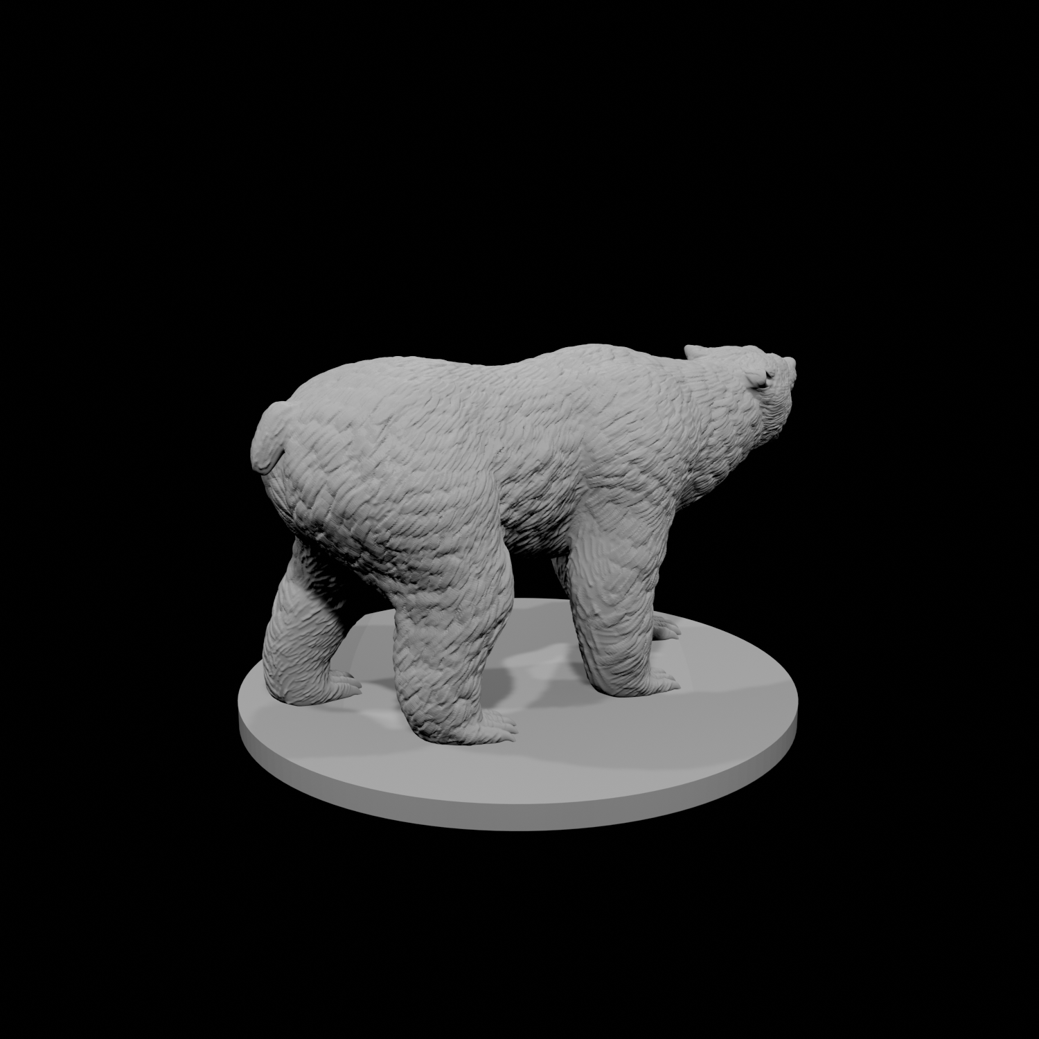 Brown Bear