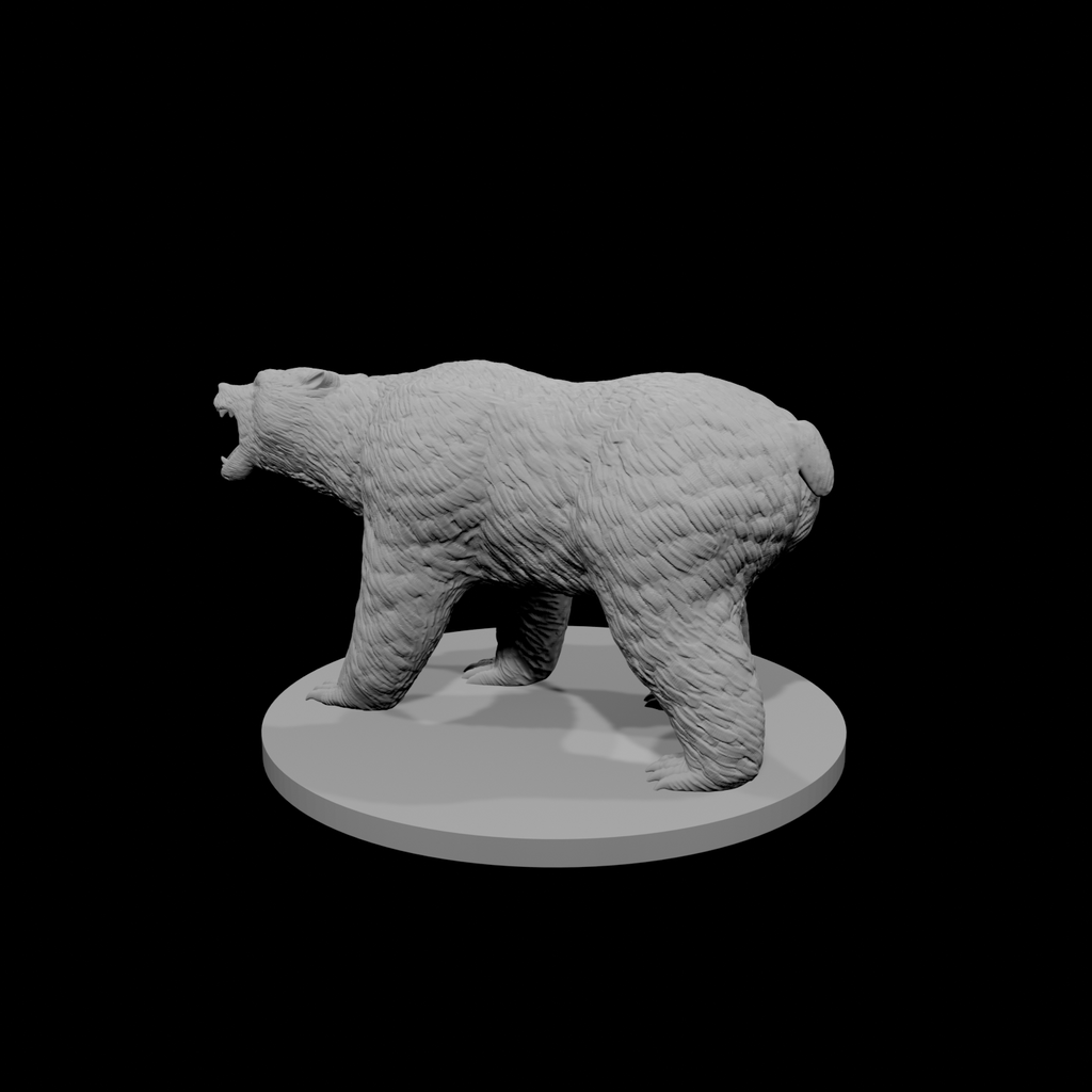 Brown Bear