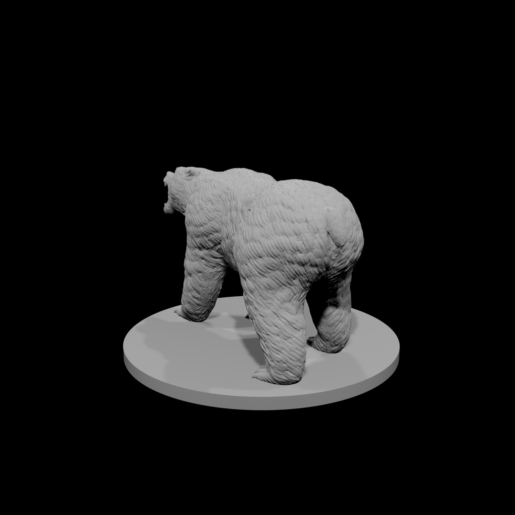 Brown Bear