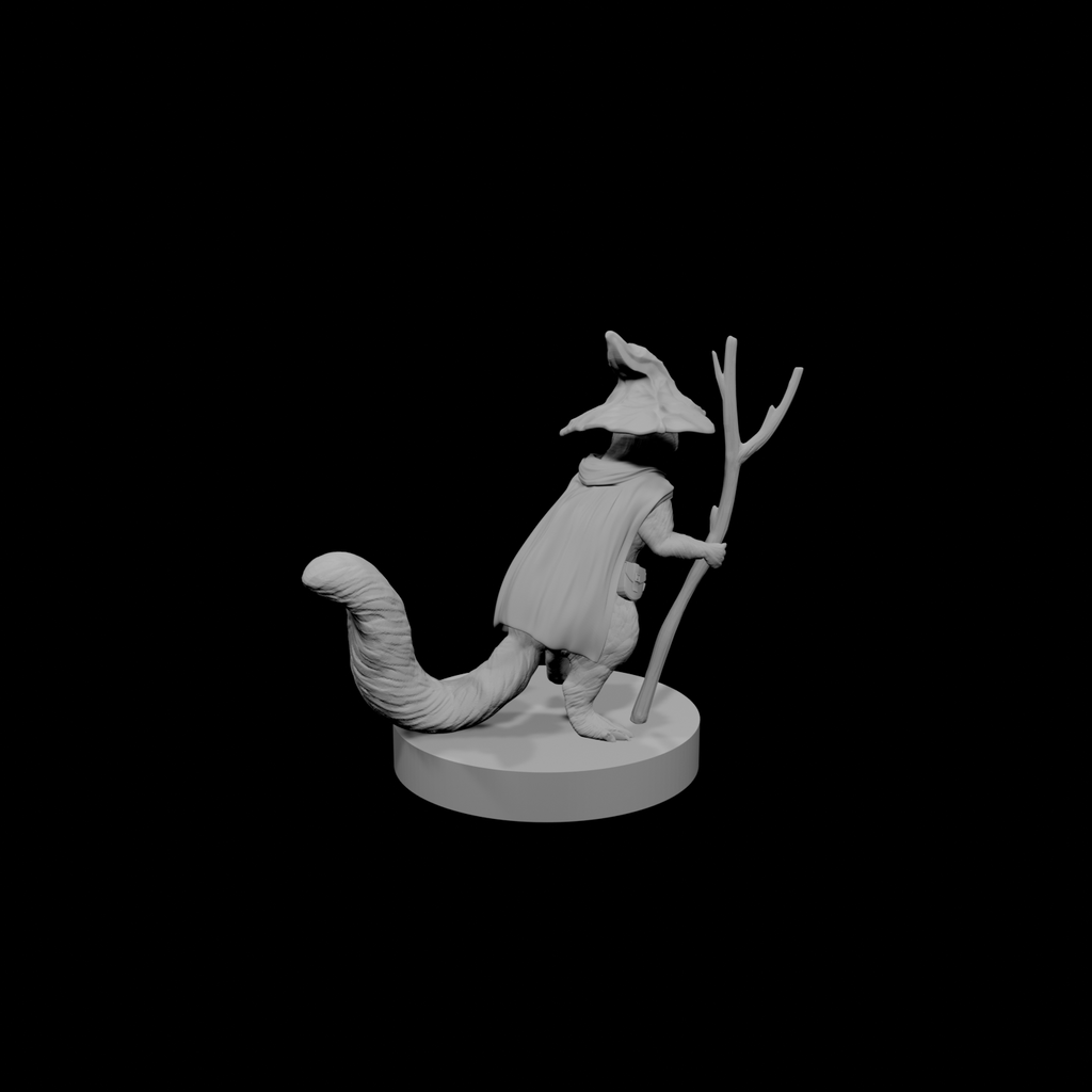 Chirp Cleverwhisker the Squirrel Wizard