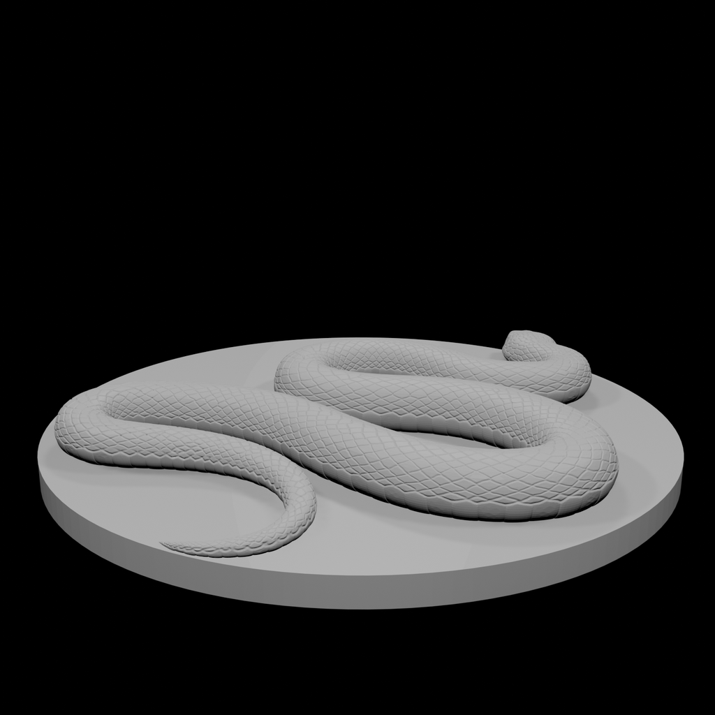 Constrictor Snake