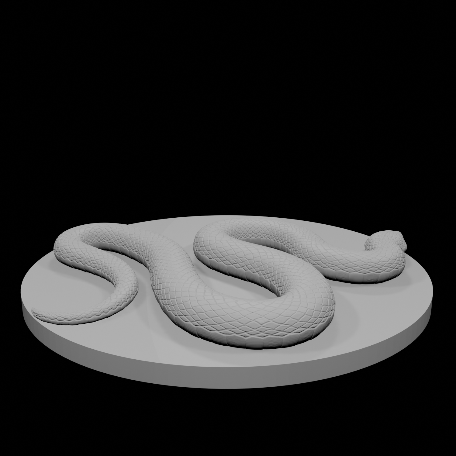 Constrictor Snake