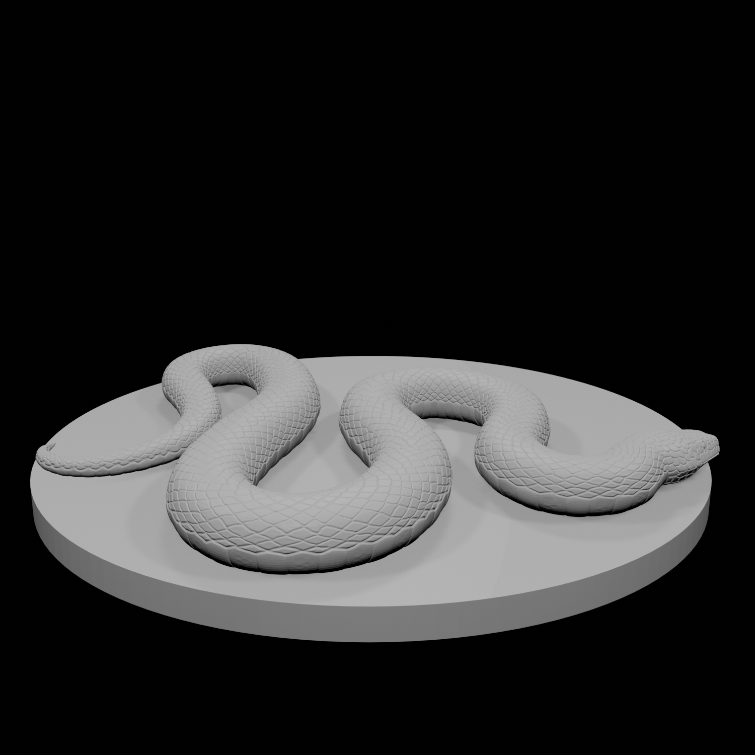 Constrictor Snake