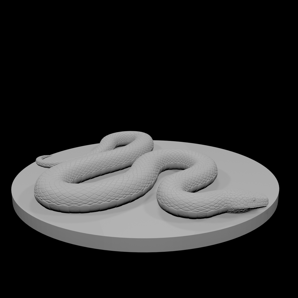 Constrictor Snake