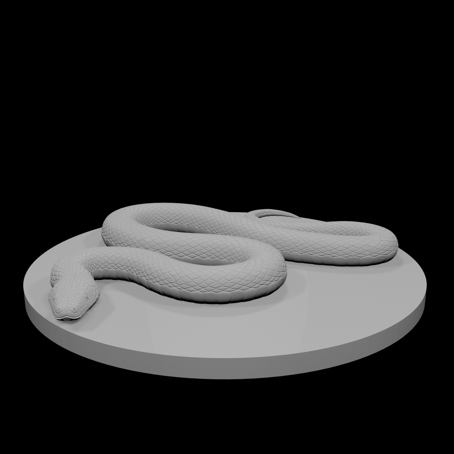 Constrictor Snake