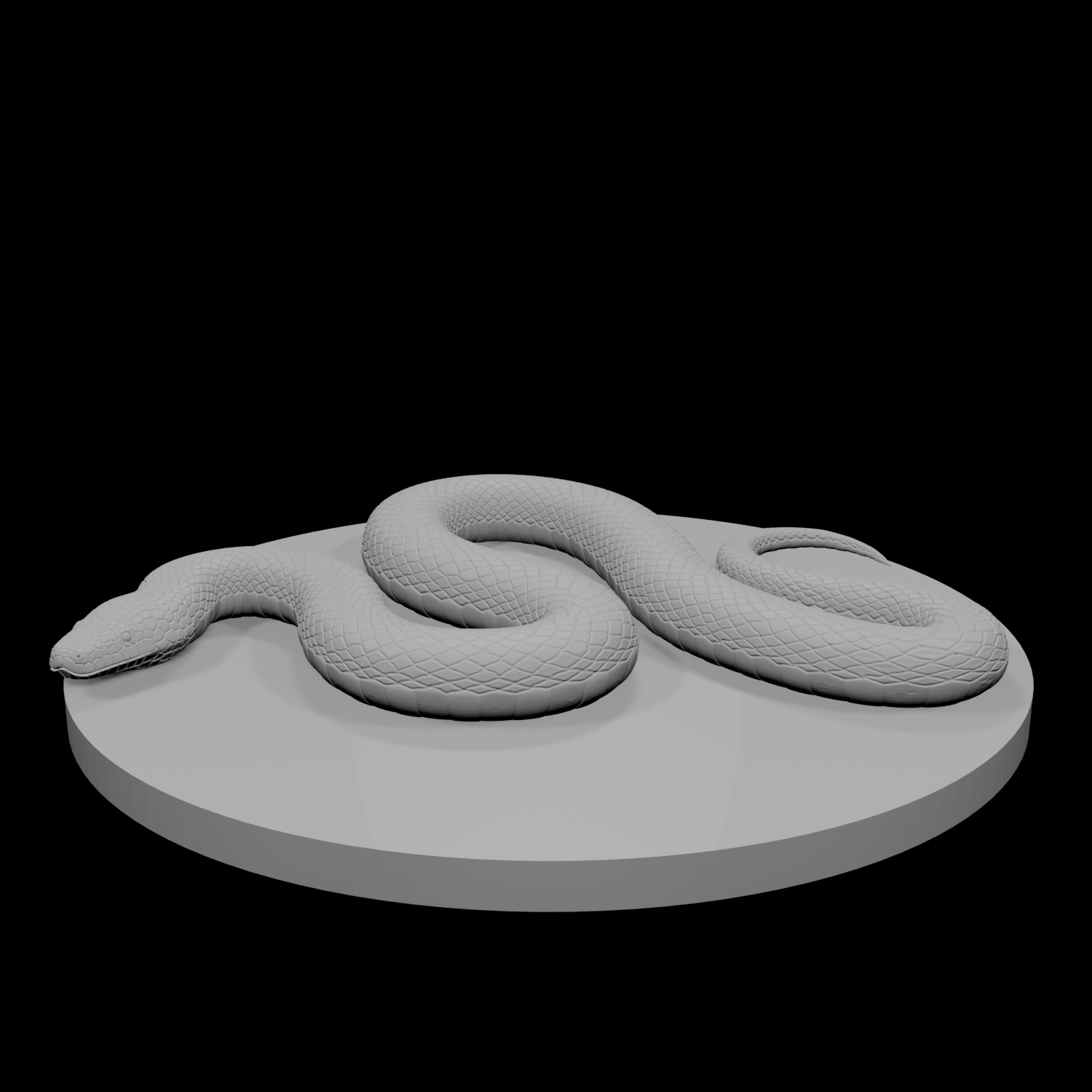 Constrictor Snake