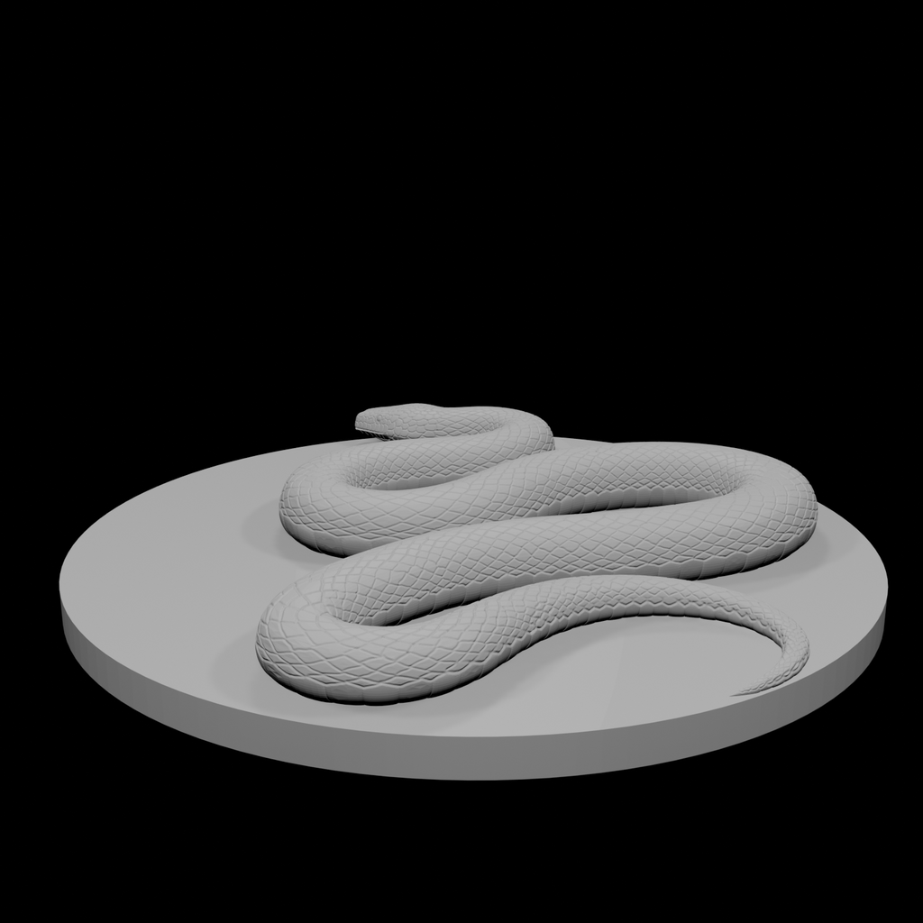 Constrictor Snake