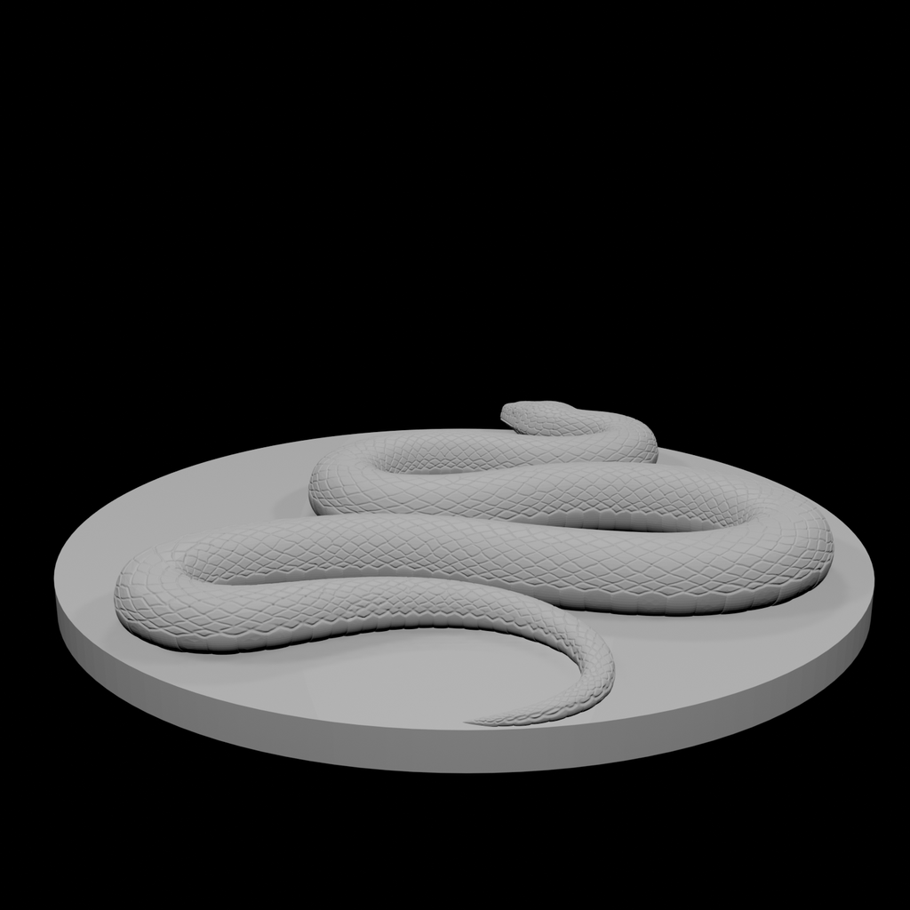 Constrictor Snake