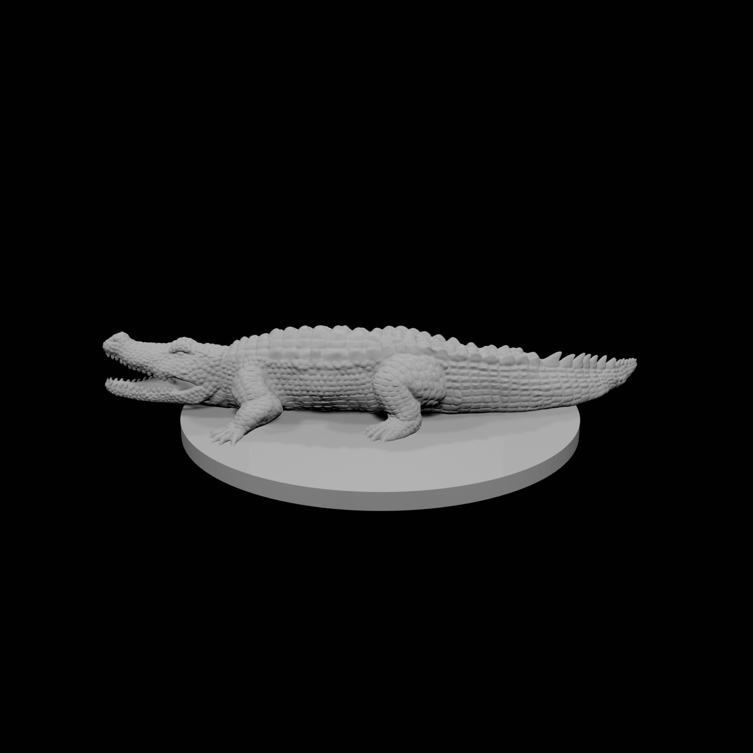 Crocodile