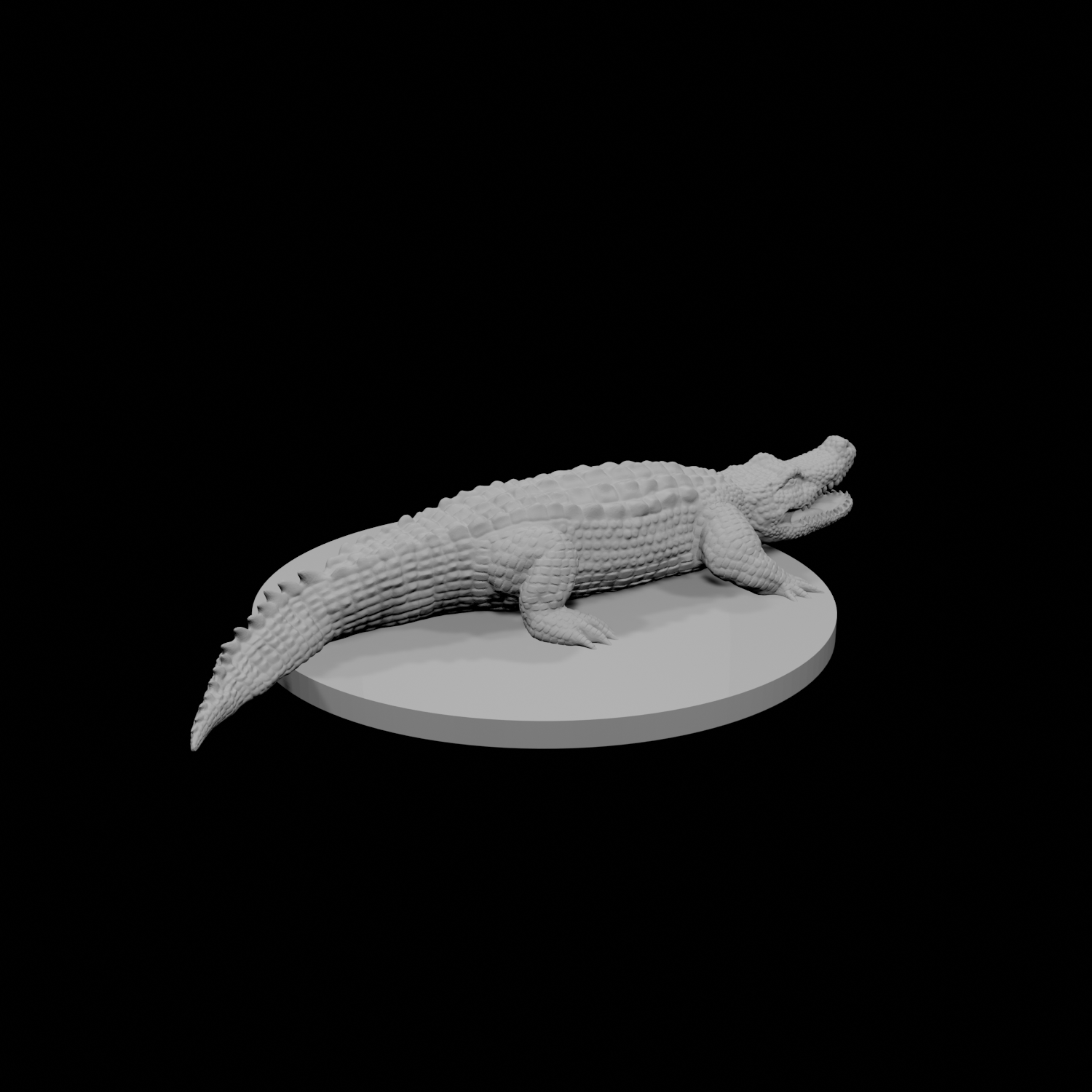 Crocodile