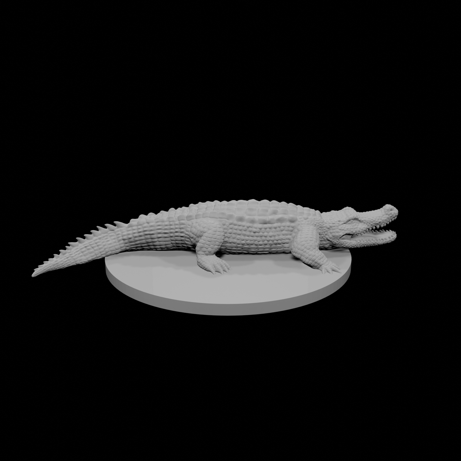 Crocodile