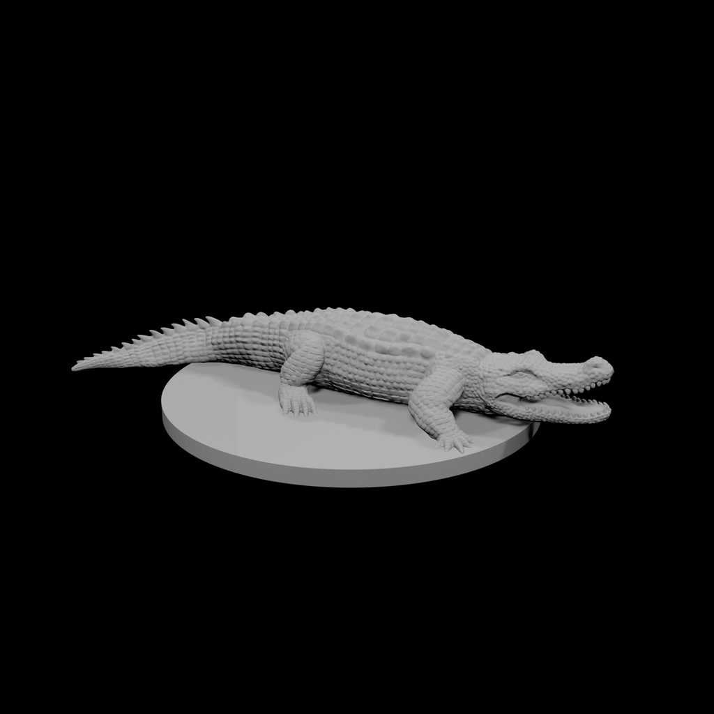 Crocodile