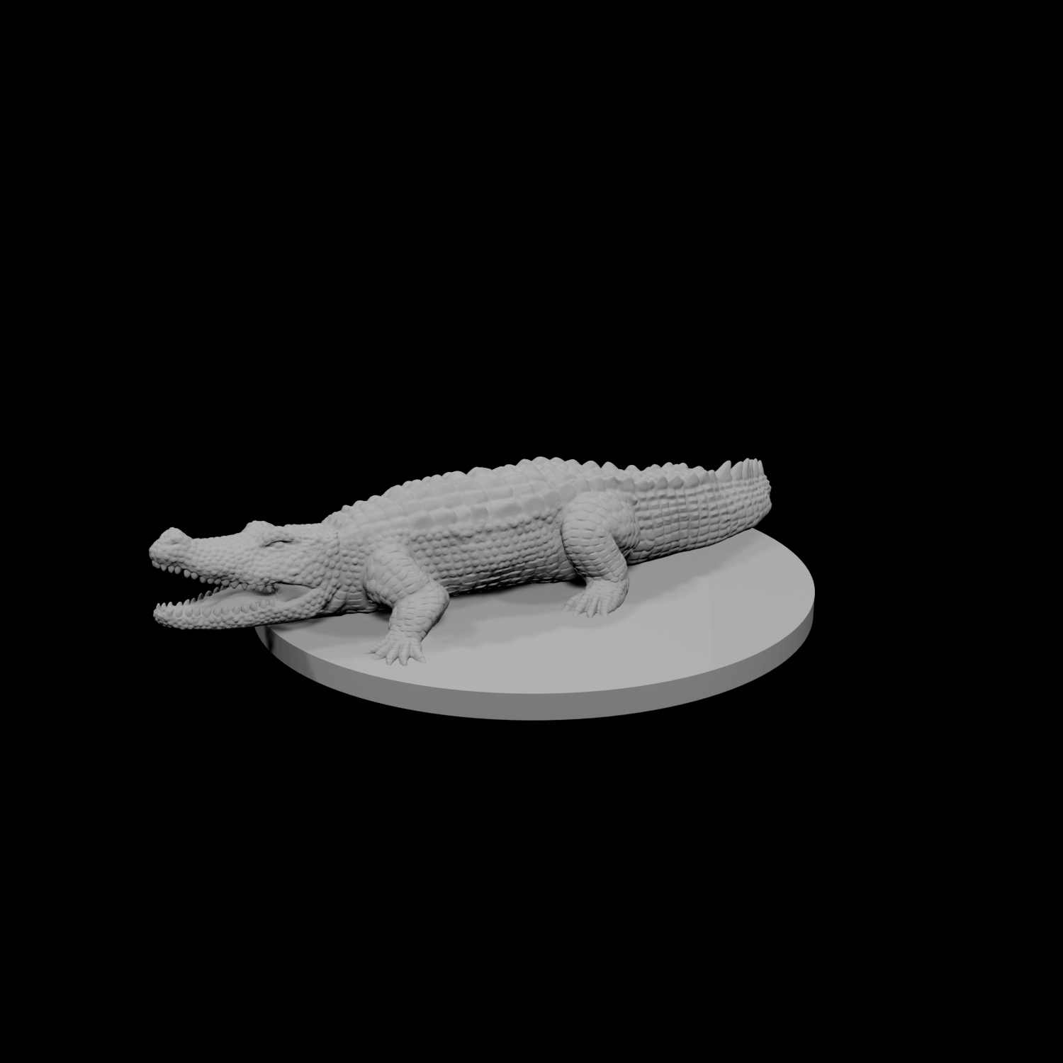Crocodile