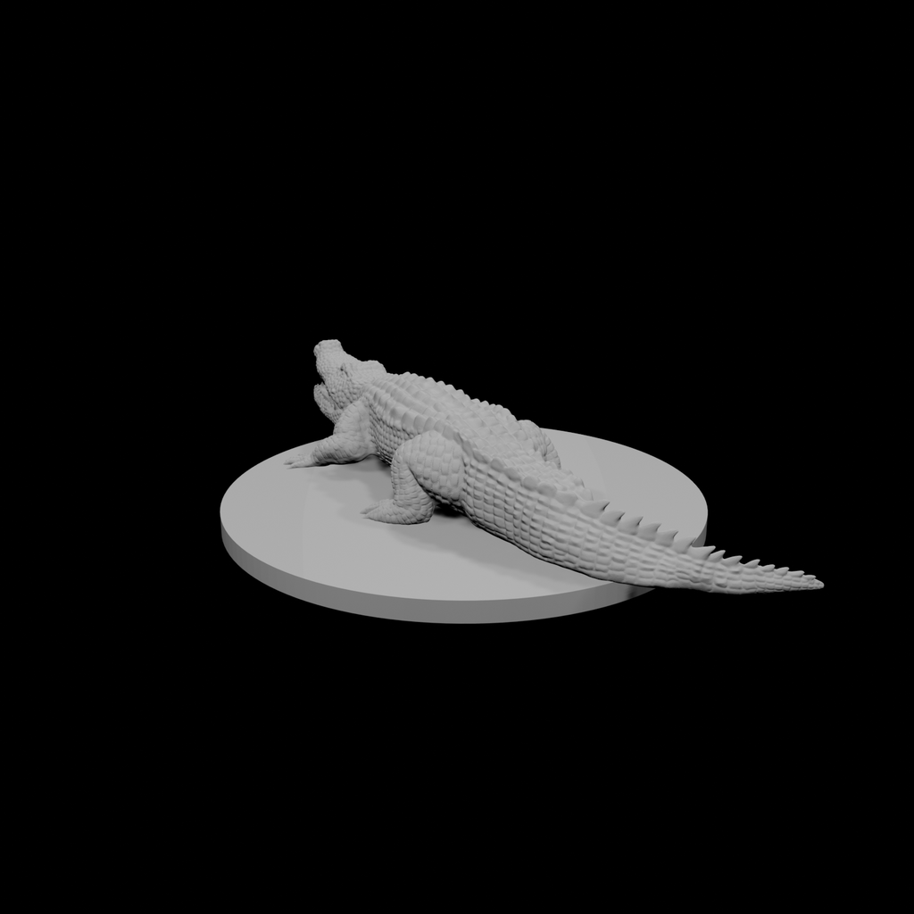 Crocodile