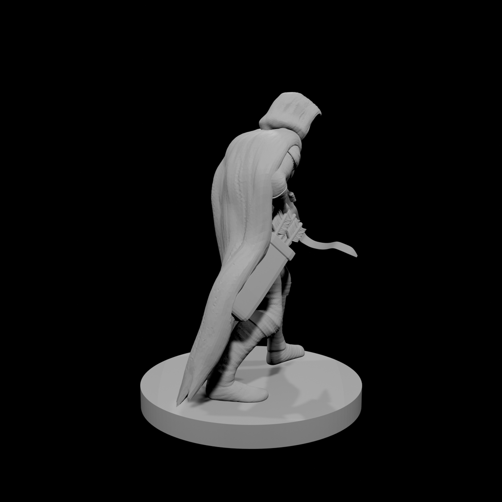 Archer à l'arbalète 2