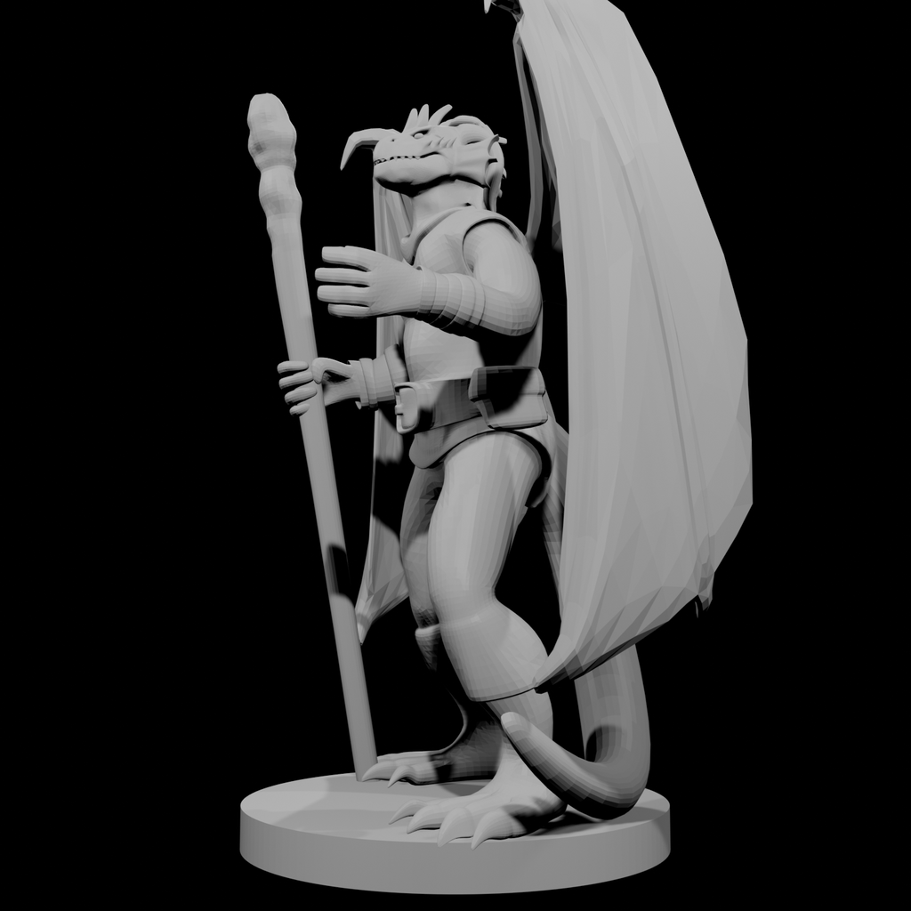 Druide draconide 2