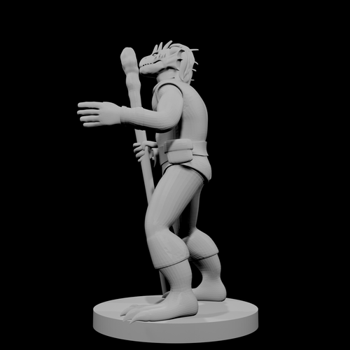 Dragonborn Druid