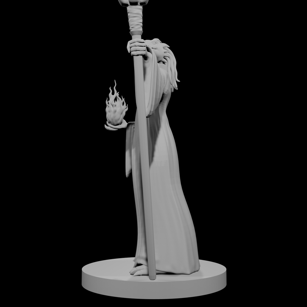 Sorcière Dragonne 2