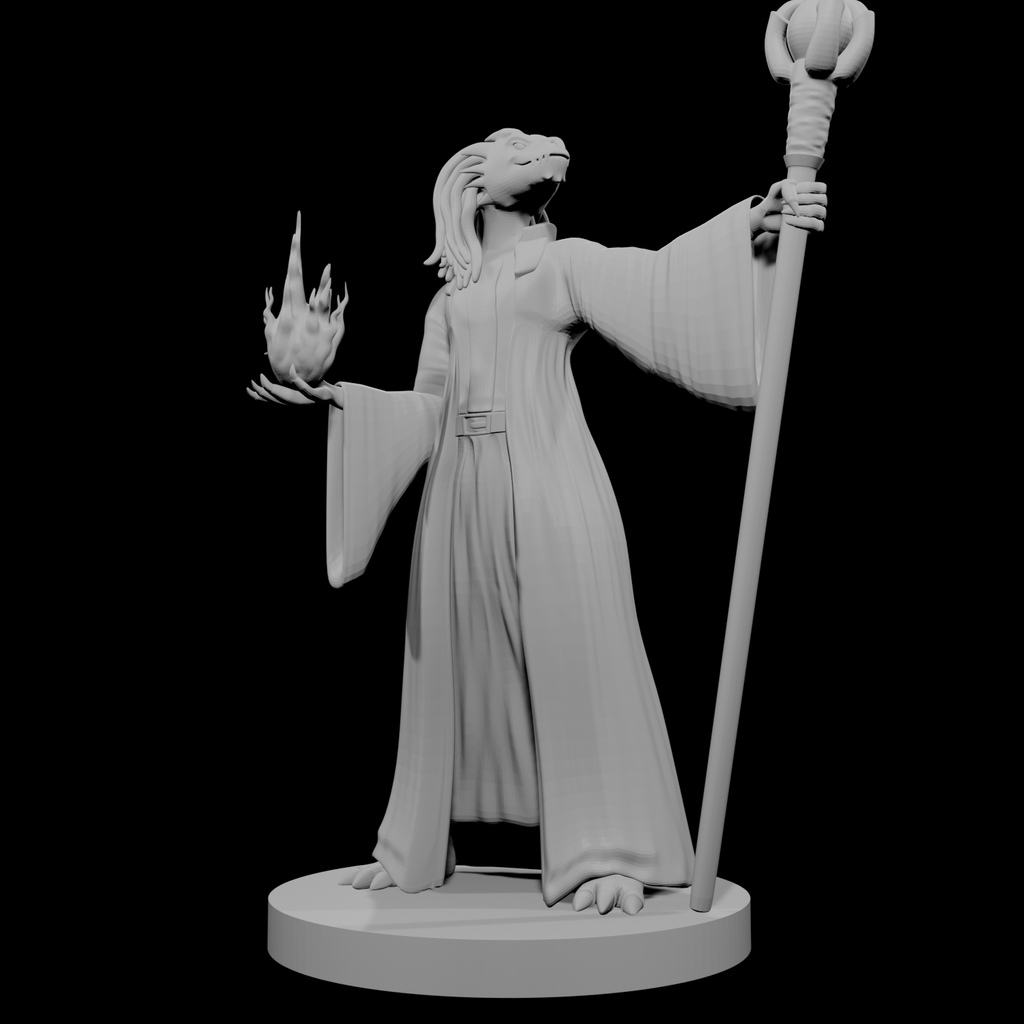 Sorcière Dragonne 2
