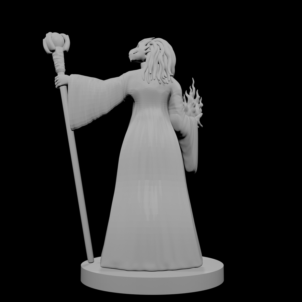 Sorcière Dragonne 2