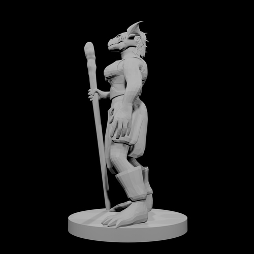 Dragonborn Female Sorcerer 4