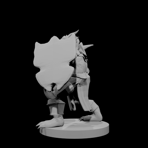 Dragonborn Paladin