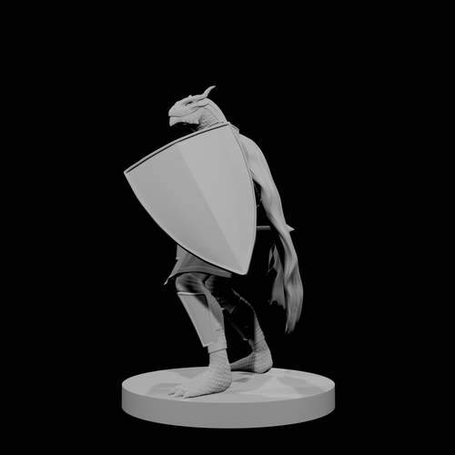 Dragonborn Paladin with Warhammer and Shield