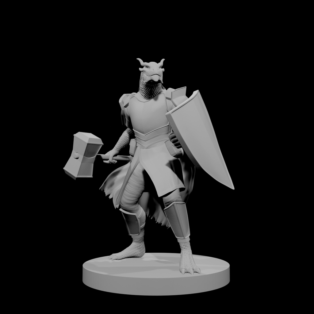 Paladin draconide avec marteau de guerre et bouclier