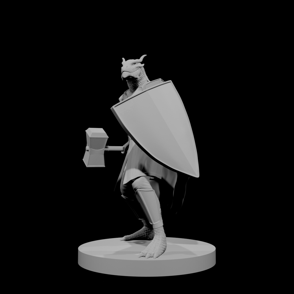 Paladin draconide avec marteau de guerre et bouclier
