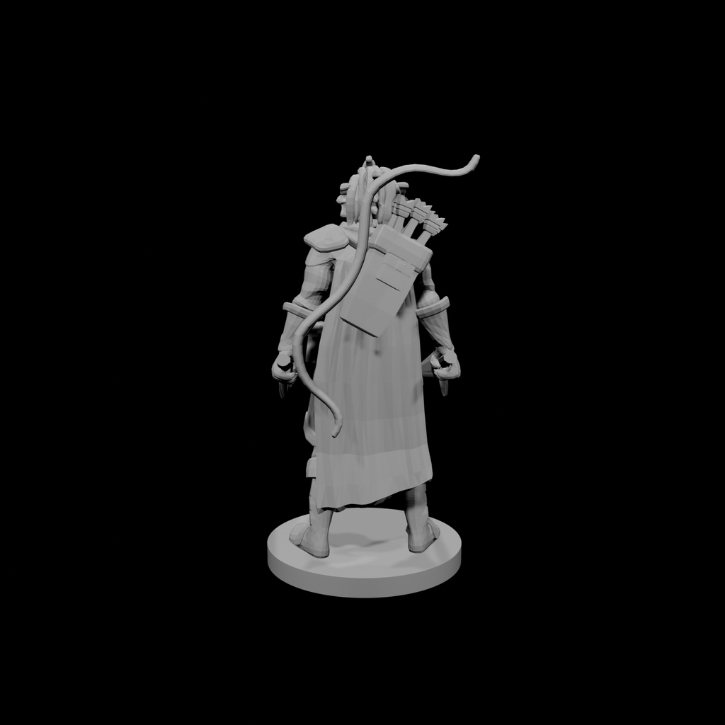 Dragonborn Two Sword Ranger