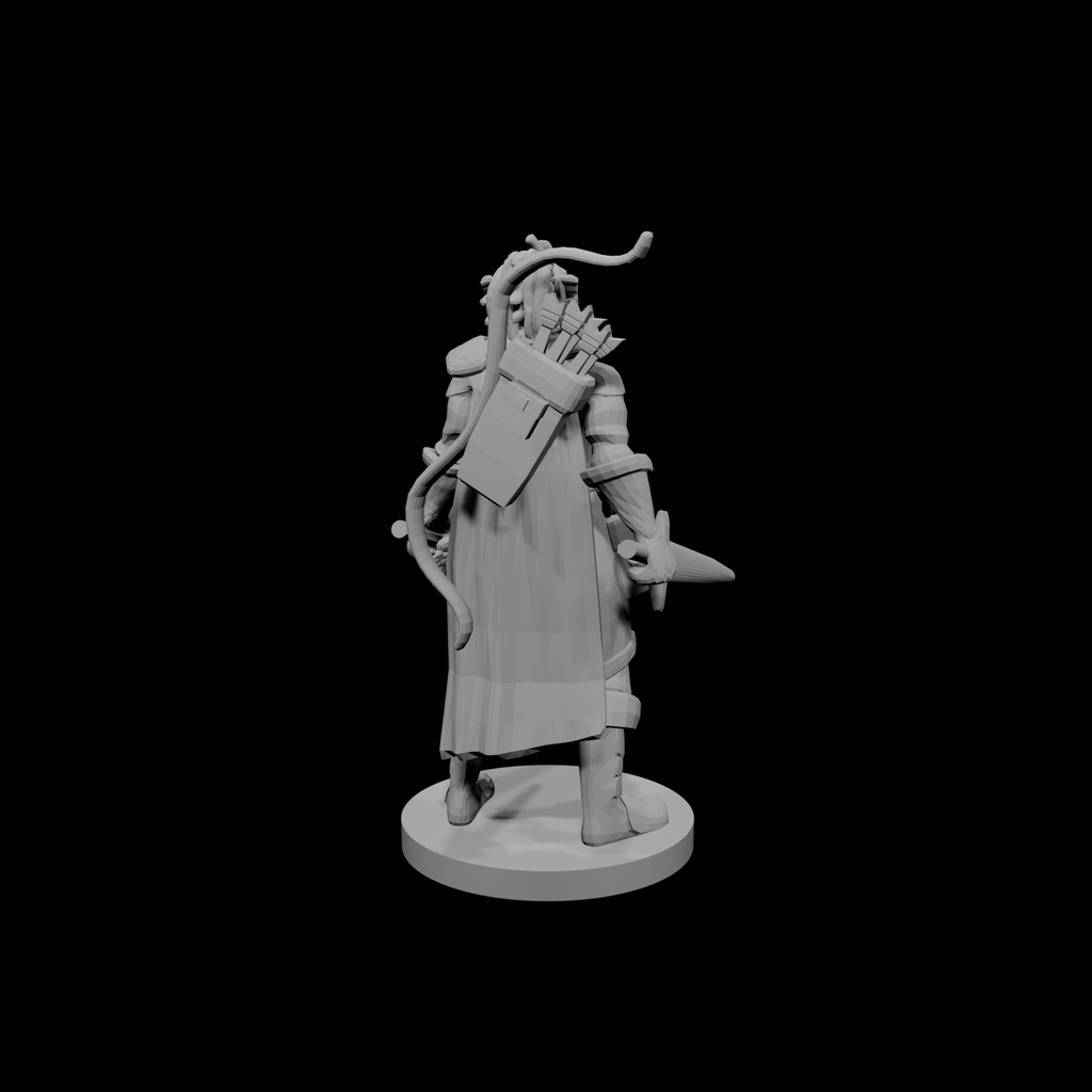 Dragonborn Two Sword Ranger
