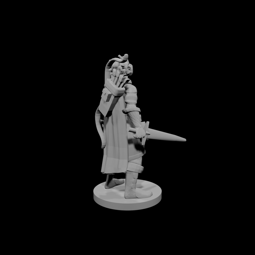 Dragonborn Two Sword Ranger