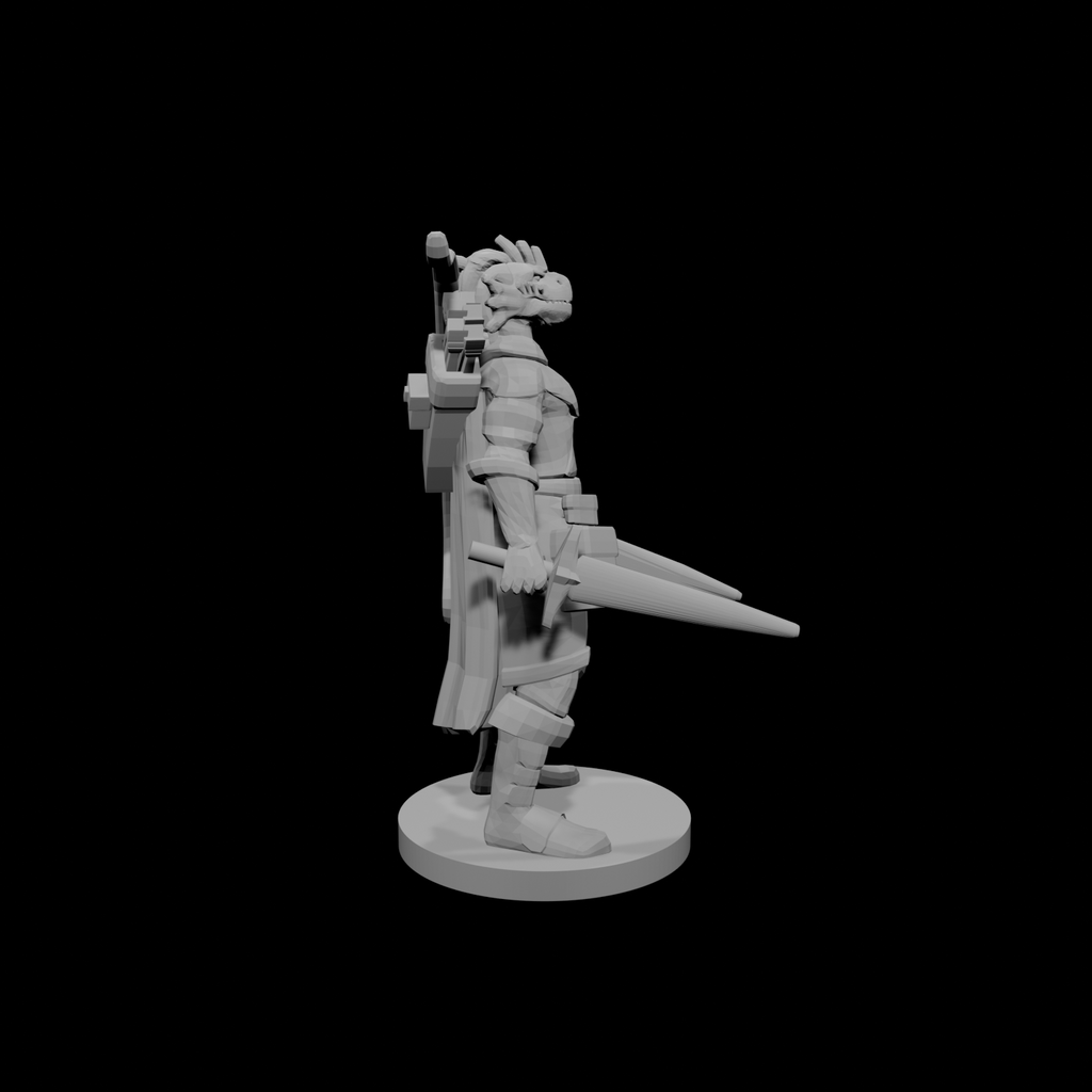 Dragonborn Two Sword Ranger