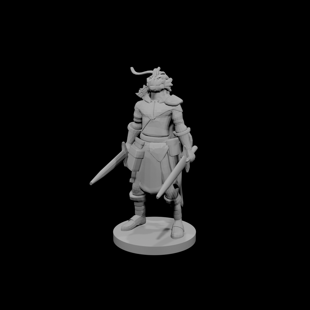Dragonborn Two Sword Ranger