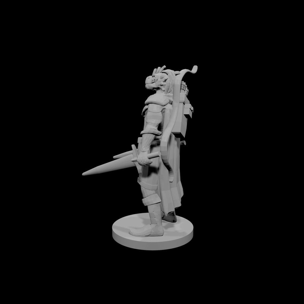 Dragonborn Two Sword Ranger
