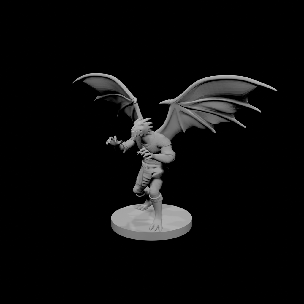Moine mâle draconide 2 avec des ailes