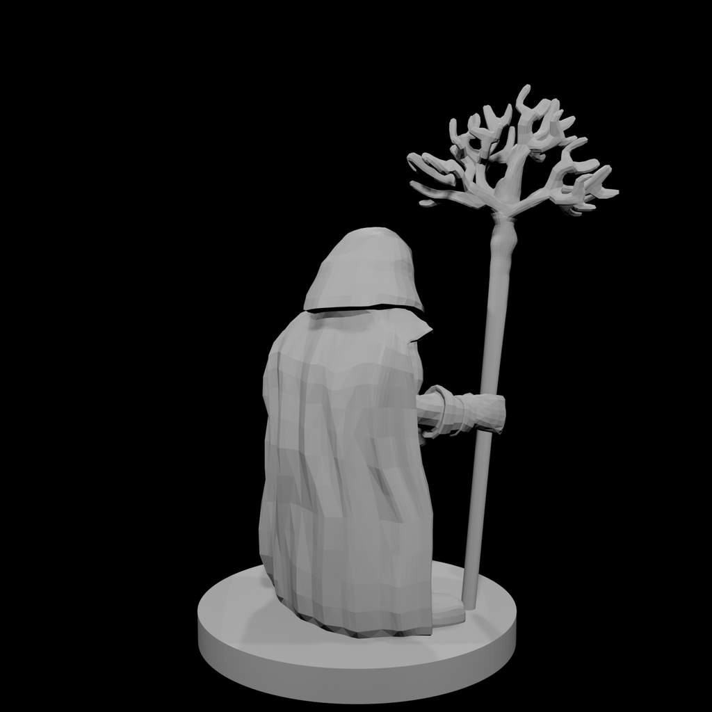 Druide Nain