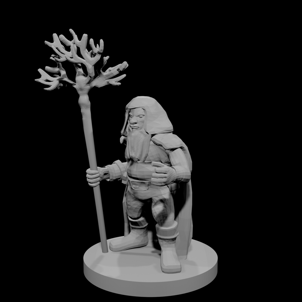 Druide Nain