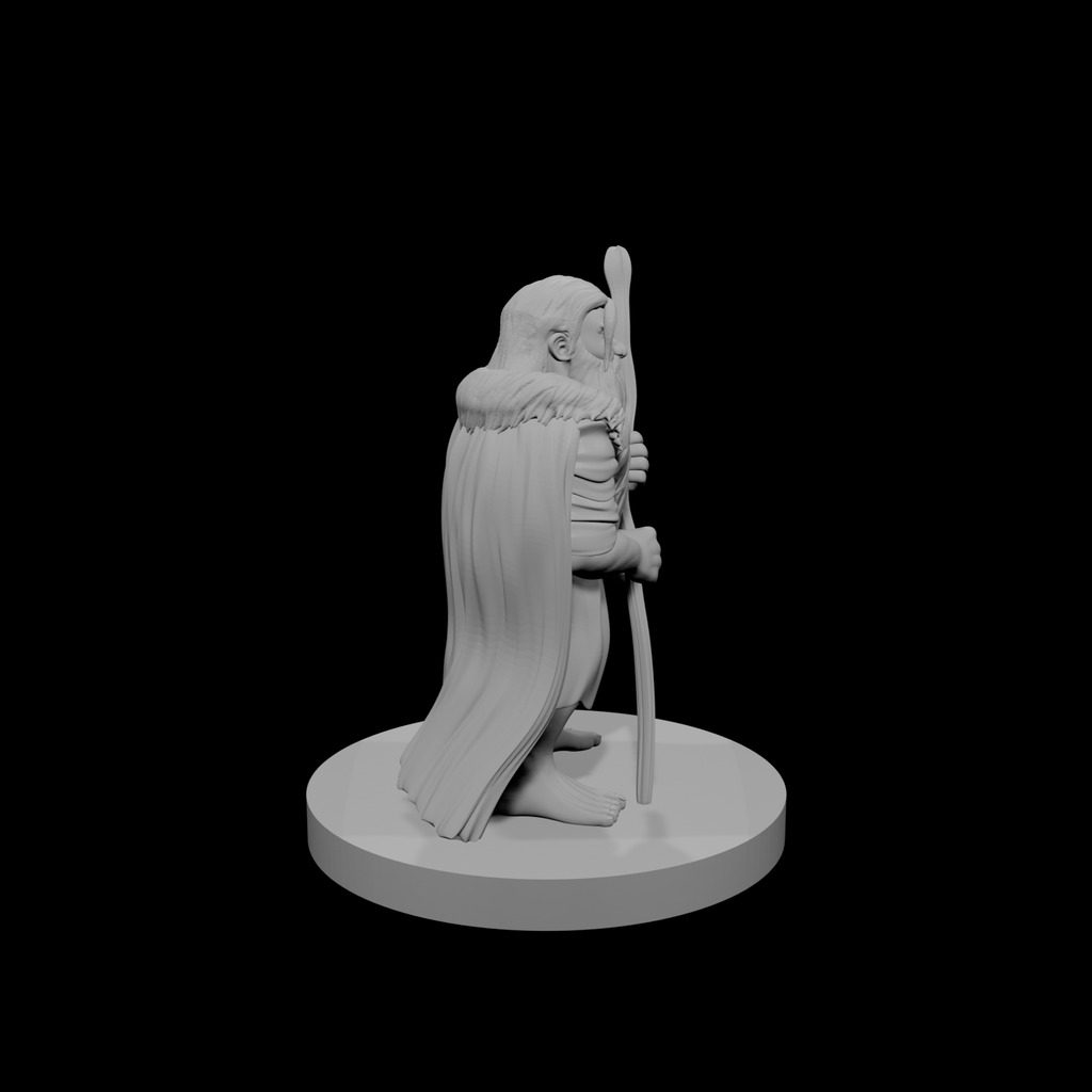 Druide mâle nain 3